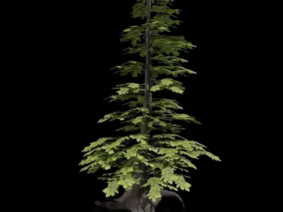 Tree Collection 1 - 3 trees - 2 colors Free low-poly 3D model