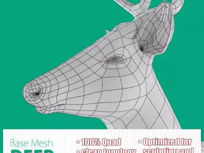 Deer Base Mesh Low-poly 3D model