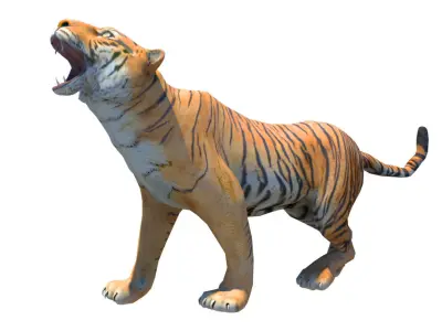 Bengol Tiger rigged and  Animated 3D model