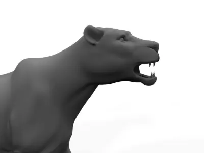 female lion 3d model 3D model