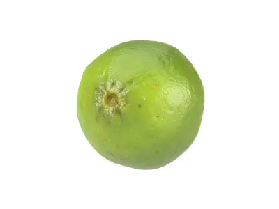 Photorealistic Lime Half 3D Scan 1 3D model