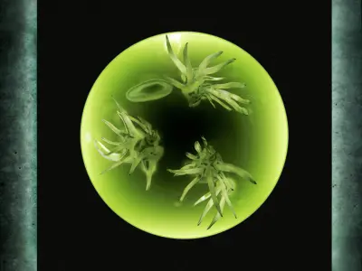 Alien flower By Alisa Sheinson Free 3D model