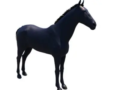 Black Horse    for real time and offline rendering  Low-poly 3D model