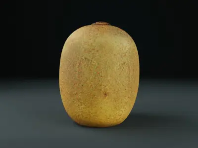 Fresh Kiwi Low-poly 3D model