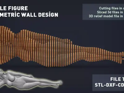 Female Figure Parametric Wall Art 3D print model