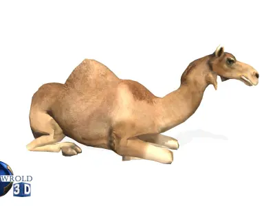 Camel Rigged Animated Lowpoly 3d model Low-poly 3D model