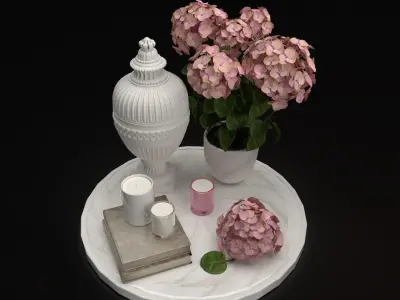 Hydrangea and candles set 3D model