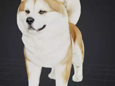 Akita Dog Low-poly 3D model