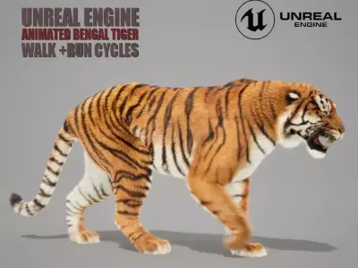 Bengal Tiger Animated UNREAL project  Maya base rig 3D model