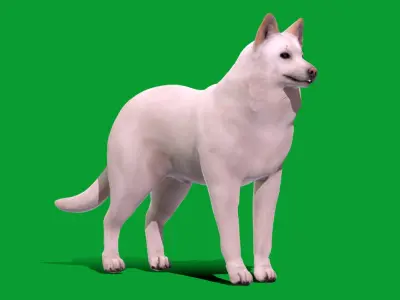 White Swiss Shepherd Dog Low-poly 3D model