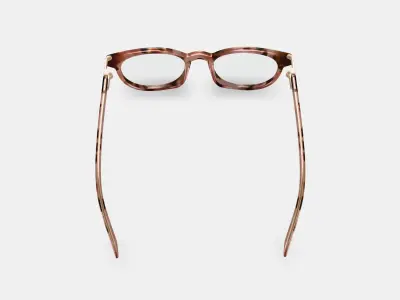 Sadie Eyeglasses in Sesame Tortoise with Polished Gold 3D model