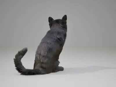 Cat Black Animated UNREAL project  Maya base rig 3D model