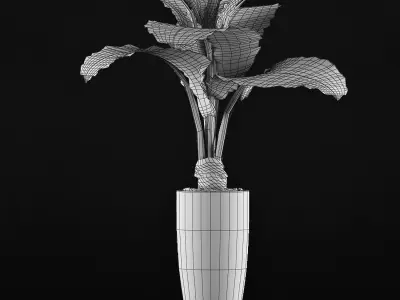 Plants Collection 53 3D model
