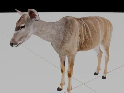 TragelaphusStrepsiceros deer Low-poly 3D model