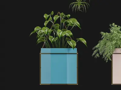 Modern Potting Plant 3D model