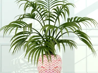 Plants collection 51 3D model