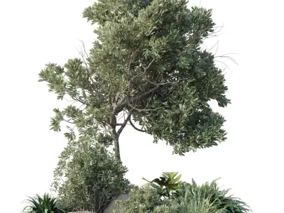 Collection outdoor indoor 118 pot palm tree the garden 3D model