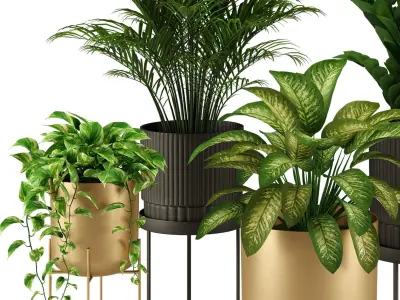 Indoor Plant Set 002 3D model