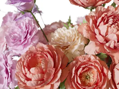 Flower Set 120 Whispering Peach Bloom 3D model