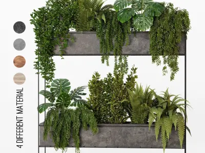 Indoor hanging plants - collection 01