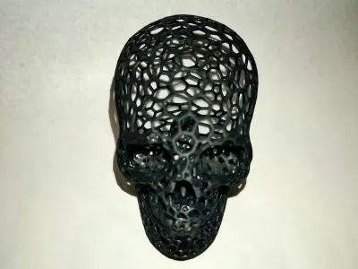 Voronoi Skull  3D print model