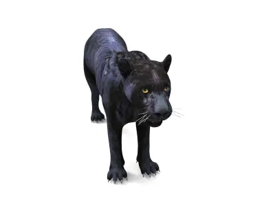 Black Panther 3D Models game ready Low-poly 3D model