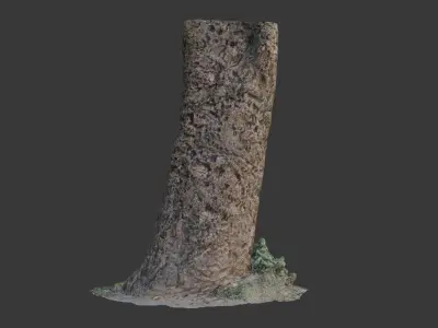 Realistic 3D Scanned Tree Trunk with Moss  Low-poly 3D model
