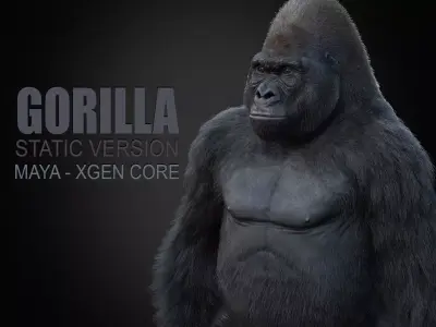 Gorilla 3 STATIC XGEN CORE 3D model