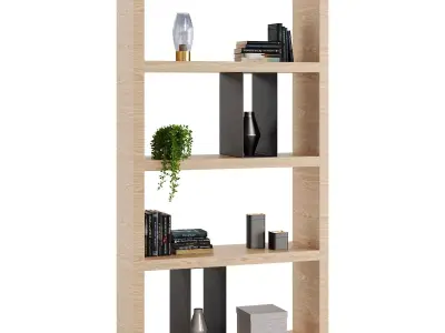 Flexform Bookshelf Braidense 3D model