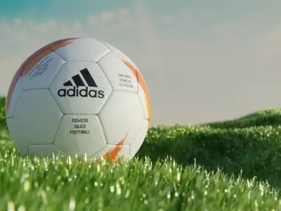 Football Grass Ground 3D model