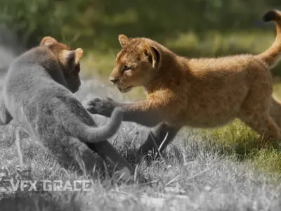 Lion Cub Animated VFX Grace 3D model