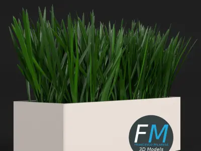 Grass in a pot 2 3D model