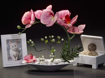 Orchid Flower Decorative Set 3D model