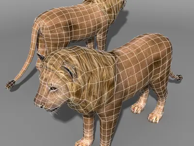 Lion Family 19838 Low-poly 3D model