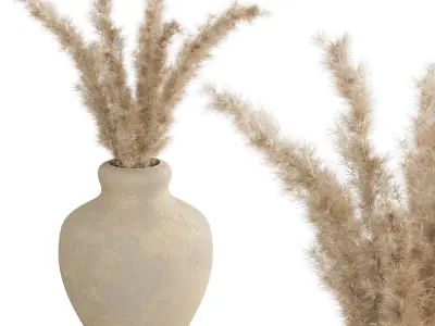 Pampas 3D model