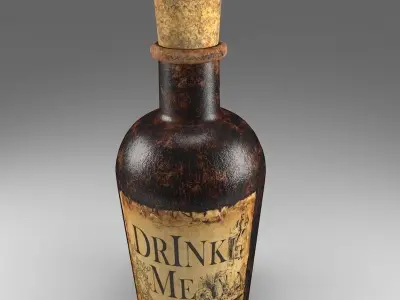 Decorative Bottle 3D model