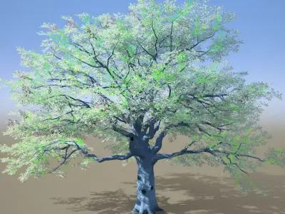 Stylized Tree Vol 1 All in one Pack 3D model