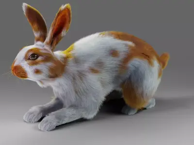 Fur Rabbit Gray V03 Rigged Low-poly 3D model
