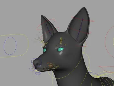 Realistic jackal animal 3d model  3D model