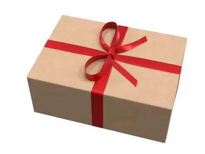 Wrapped Gift Box PBR 10 3D model