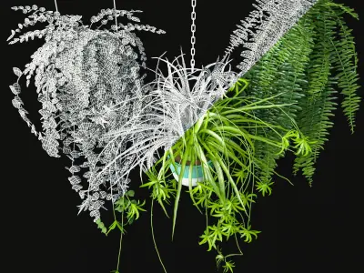 Hanging Plants Set 3D model