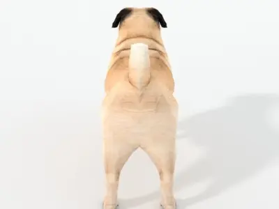 Dog Pug Low-poly 3D model