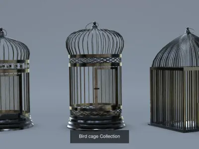Cage Bird Collection