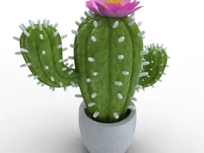 Potted Cactus 3D model