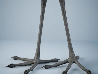 Handpainted Heron Sculpture Low-poly 3D model