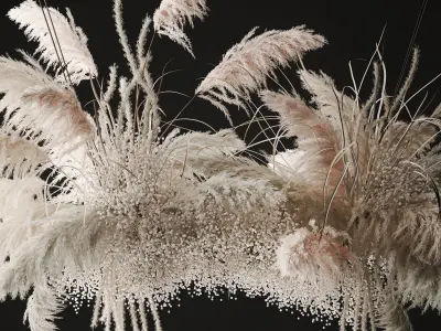hanging decor of their dried pampas grass 237 3D model