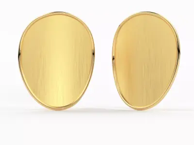 Oval Solid Gold Brushed Earrings Silver Body Jewelry 3D model 3D print model