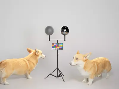 Corgi dog 04 Low-poly 3D model