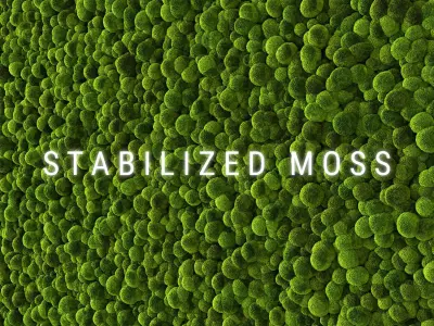 Stabilized Moss 2 3D model