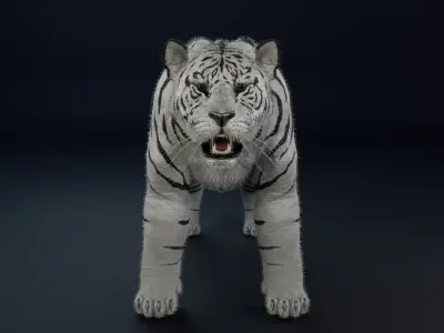 White Tiger realitic Low-poly 3D model